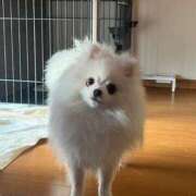 ヒメ日記 2025/01/25 07:03 投稿 みつり モアグループ神栖人妻花壇