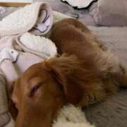 ヒメ日記 2025/02/05 08:53 投稿 みつり モアグループ神栖人妻花壇