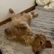 ヒメ日記 2025/02/09 23:39 投稿 みつり モアグループ神栖人妻花壇