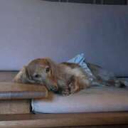 ヒメ日記 2025/02/18 07:00 投稿 みつり モアグループ神栖人妻花壇