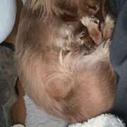 ヒメ日記 2025/03/21 09:12 投稿 みつり モアグループ神栖人妻花壇