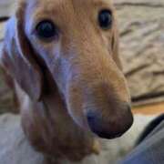 ヒメ日記 2025/03/24 08:21 投稿 みつり モアグループ神栖人妻花壇