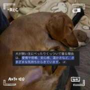 ヒメ日記 2025/04/06 21:08 投稿 みつり モアグループ神栖人妻花壇