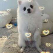 ヒメ日記 2025/04/14 07:38 投稿 みつり モアグループ神栖人妻花壇