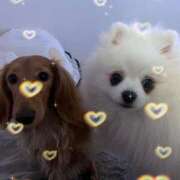 ヒメ日記 2025/04/16 09:41 投稿 みつり モアグループ神栖人妻花壇