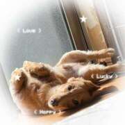 ヒメ日記 2025/04/17 07:56 投稿 みつり モアグループ神栖人妻花壇