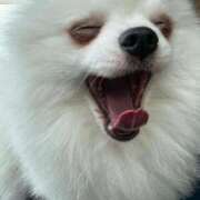 ヒメ日記 2025/04/25 06:11 投稿 みつり モアグループ神栖人妻花壇