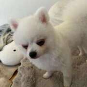 ヒメ日記 2025/06/01 13:53 投稿 みつり モアグループ神栖人妻花壇