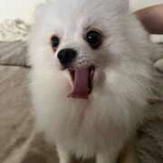 ヒメ日記 2025/07/07 12:03 投稿 みつり モアグループ神栖人妻花壇