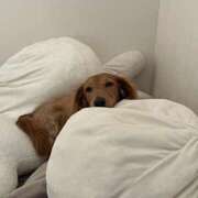 ヒメ日記 2025/07/14 10:03 投稿 みつり モアグループ神栖人妻花壇