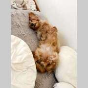 ヒメ日記 2025/07/30 07:10 投稿 みつり モアグループ神栖人妻花壇