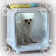 ヒメ日記 2025/08/01 08:15 投稿 みつり モアグループ神栖人妻花壇