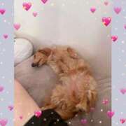 ヒメ日記 2025/08/22 06:47 投稿 みつり モアグループ神栖人妻花壇