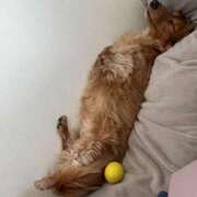 ヒメ日記 2025/08/23 14:40 投稿 みつり モアグループ神栖人妻花壇