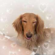 ヒメ日記 2025/08/27 16:55 投稿 みつり モアグループ神栖人妻花壇