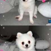 ヒメ日記 2025/09/02 09:52 投稿 みつり モアグループ神栖人妻花壇