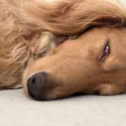 ヒメ日記 2025/09/05 18:00 投稿 みつり モアグループ神栖人妻花壇