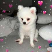 ヒメ日記 2025/09/11 17:38 投稿 みつり モアグループ神栖人妻花壇