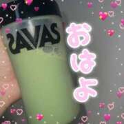 ヒメ日記 2025/09/27 06:53 投稿 みつり モアグループ神栖人妻花壇