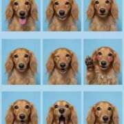 ヒメ日記 2025/09/30 07:13 投稿 みつり モアグループ神栖人妻花壇