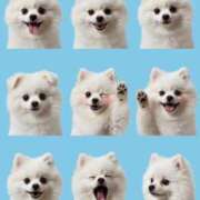 ヒメ日記 2025/10/06 07:29 投稿 みつり モアグループ神栖人妻花壇