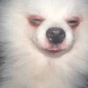 ヒメ日記 2025/10/10 06:56 投稿 みつり モアグループ神栖人妻花壇