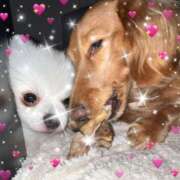 ヒメ日記 2026/02/14 07:56 投稿 みつり モアグループ神栖人妻花壇