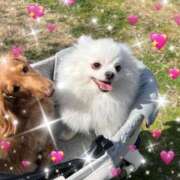 ヒメ日記 2026/03/28 07:19 投稿 みつり モアグループ神栖人妻花壇