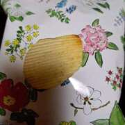 ヒメ日記 2025/03/31 06:57 投稿 朝桐 渚 タッチVIP