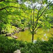 ヒメ日記 2025/05/05 06:33 投稿 朝桐 渚 タッチVIP