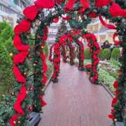 ヒメ日記 2025/12/17 06:27 投稿 朝桐 渚 タッチVIP