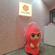 ヒメ日記 2026/01/10 06:33 投稿 朝桐 渚 タッチVIP