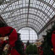 ヒメ日記 2026/01/13 06:33 投稿 朝桐 渚 タッチVIP