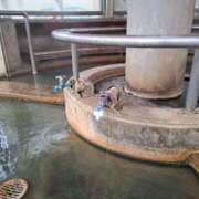 朝桐 渚 おはよ🐤 タッチVIP