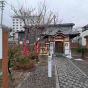 ヒメ日記 2026/04/08 06:27 投稿 朝桐 渚 タッチVIP