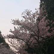 ヒメ日記 2026/04/28 06:21 投稿 朝桐 渚 タッチVIP