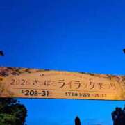 ヒメ日記 2026/05/27 06:12 投稿 朝桐 渚 タッチVIP
