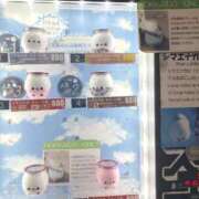 ヒメ日記 2026/06/04 06:12 投稿 朝桐 渚 タッチVIP