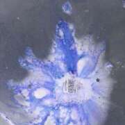 ヒメ日記 2026/03/01 11:21 投稿 まゆ One More奥様　横浜関内店