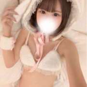 ヒメ日記 2025/08/15 07:15 投稿 せあ 舐めたくてグループ～君とサプライズ学園～越谷校