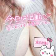 ヒメ日記 2024/12/14 10:31 投稿 ゆる 所沢東村山ちゃんこ