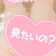 ヒメ日記 2024/12/21 21:14 投稿 ゆる 所沢東村山ちゃんこ