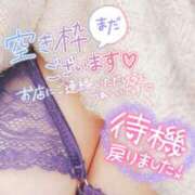 ヒメ日記 2025/01/18 22:39 投稿 ゆる 所沢東村山ちゃんこ