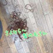 ヒメ日記 2025/02/22 20:33 投稿 ゆる 所沢東村山ちゃんこ