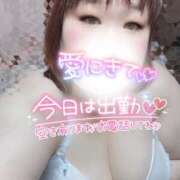 ヒメ日記 2025/02/23 12:52 投稿 ゆる 所沢東村山ちゃんこ