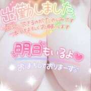 ヒメ日記 2025/03/16 01:15 投稿 ゆる 所沢東村山ちゃんこ