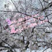 ヒメ日記 2025/03/31 21:26 投稿 ゆる 所沢東村山ちゃんこ