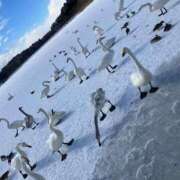 ヒメ日記 2025/01/07 08:20 投稿 ミナ★透明感抜群美女 RASTA（ラスタ）