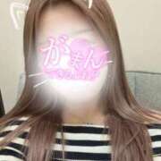 ヒメ日記 2026/03/04 09:18 投稿 あやか リアル 日本橋店