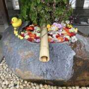 ヒメ日記 2025/03/18 10:19 投稿 ミンチー 鶯谷デッドボール